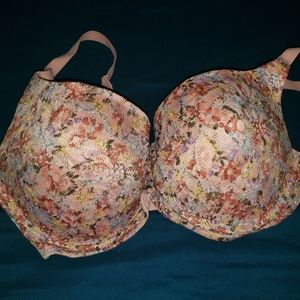 No boundaries bra 38DD